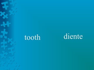 tooth   diente
 