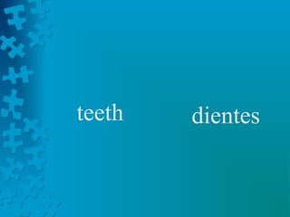 teeth   dientes
 