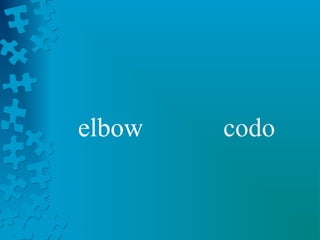 elbow   codo
 