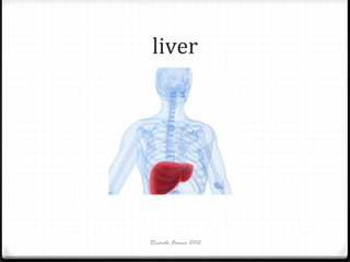 liver

Ricardo Forner 2012

 