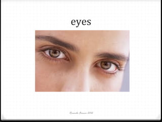 eyes

Ricardo Forner 2012

 
