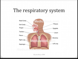 The respiratory system

Ricardo Forner 2012

 