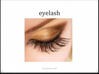 eyelash

Ricardo Forner 2012

 