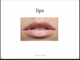 lips

Ricardo Forner 2012

 