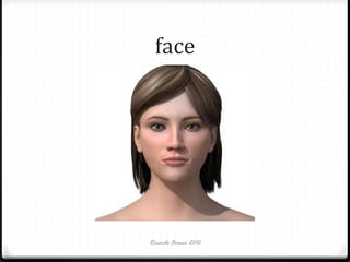 face

Ricardo Forner 2012

 