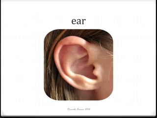 ear

Ricardo Forner 2012

 