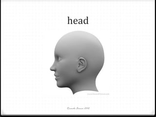 head

Ricardo Forner 2012

 