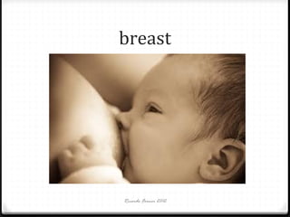 breast

Ricardo Forner 2012

 