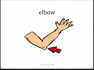 elbow

Ricardo Forner 2012

 