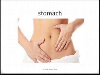 stomach

Ricardo Forner 2012

 