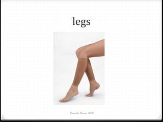 legs

Ricardo Forner 2012

 