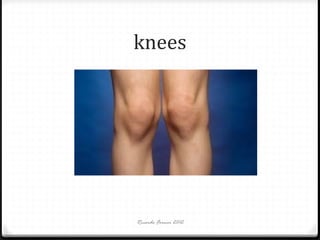 knees

Ricardo Forner 2012

 