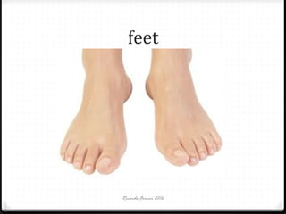 feet

Ricardo Forner 2012

 