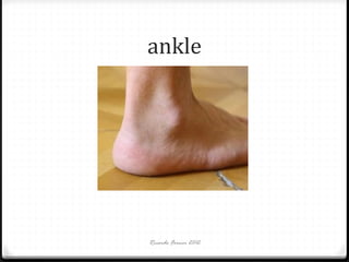 ankle

Ricardo Forner 2012

 