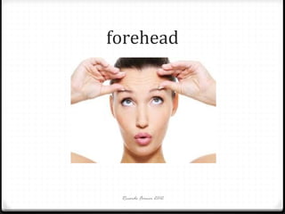 forehead

Ricardo Forner 2012

 