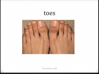 toes

Ricardo Forner 2012

 