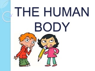 THE HUMAN
BODY
 