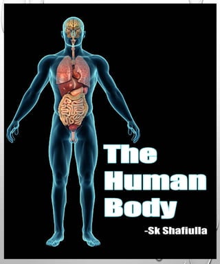 The visual anatomy and physiology of human body.