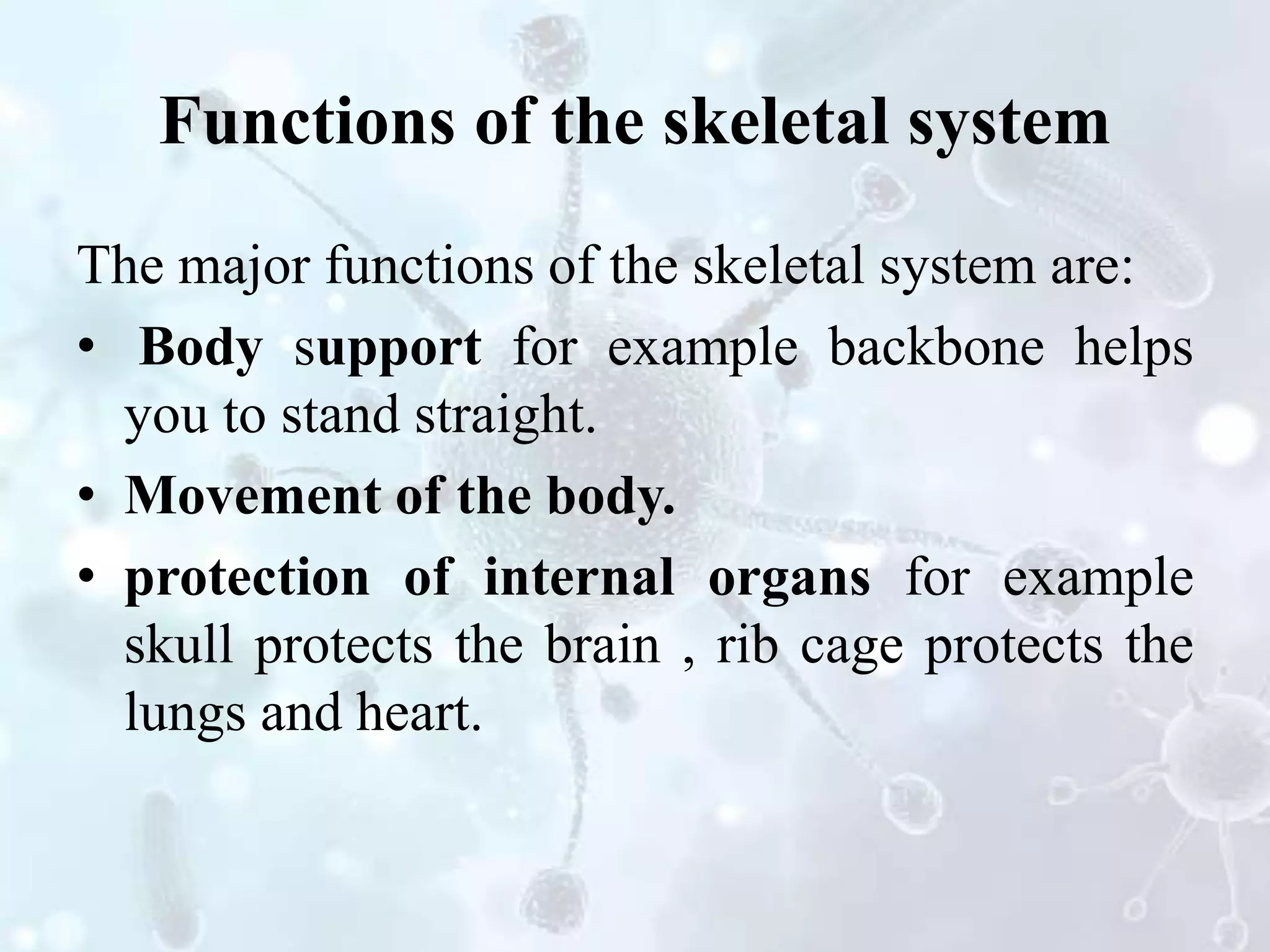 The human body | PPTX