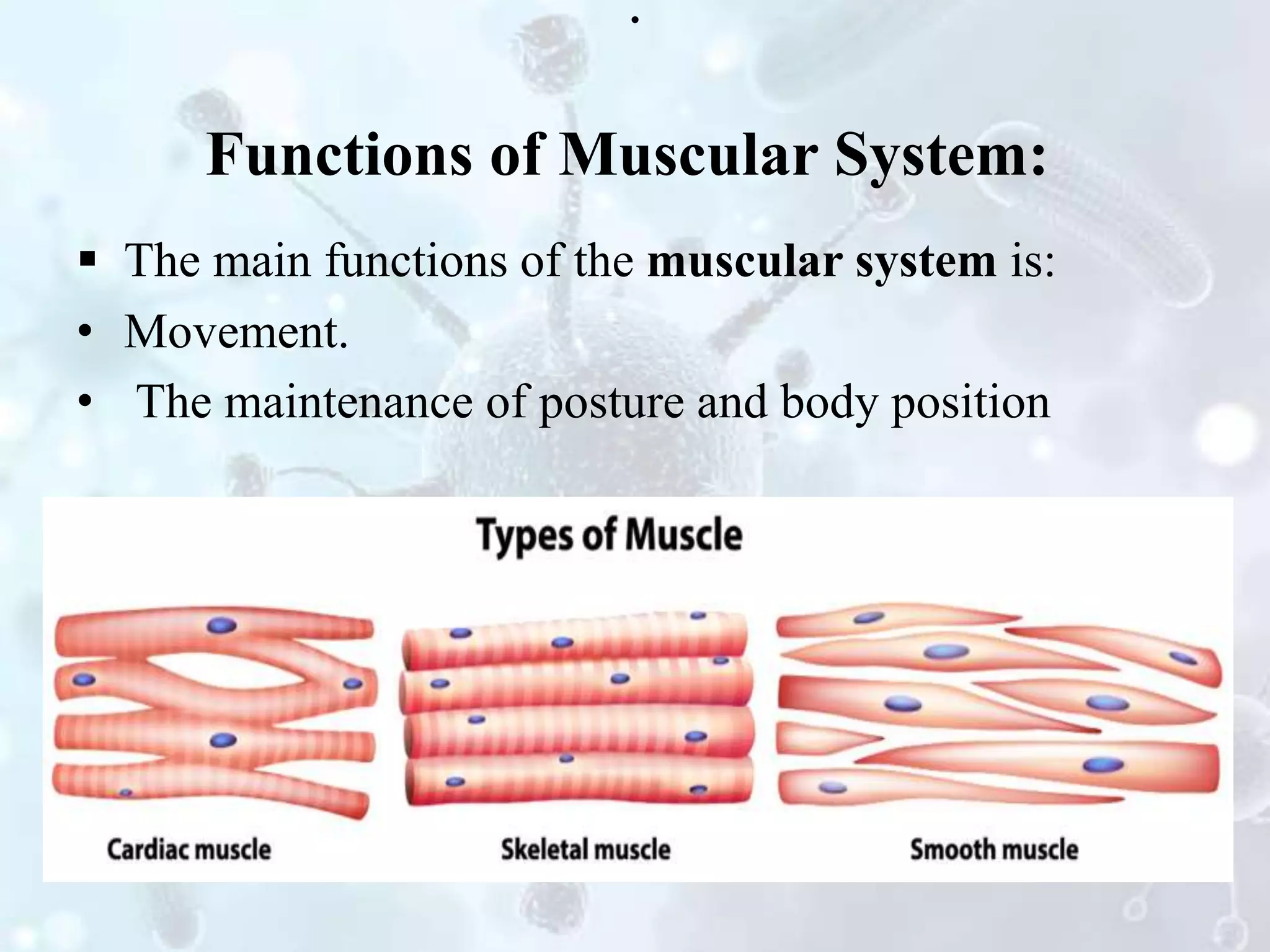 The human body | PPTX