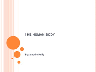 THE HUMAN BODY



By: Maddie Kelly
 
