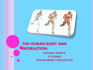 THE HUMAN BODY AND
INTERACTION
NATURAL SCIENCE
6º COURSE
ROXANA MARIA TONA SEUCIUC
 