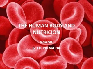 THE HUMAN BODY AND
NUTRICION
WIAME
6° DE PRIMARIA
 