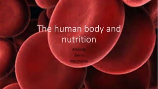 The human body and
nutrition
Amanda
Sierra
Marchante
 