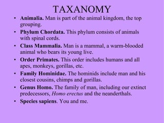 TAXANOMY Animalia.  Man is part of the animal kingdom, the top grouping.  Phylum Chordata.  This phylum consists of animals with spinal cords.  Class Mammalia.  Man is a mammal, a warm-blooded animal who bears its young live.  Order Primates.  This order includes humans and all apes, monkeys, gorillas, etc.  Family Hominidae.  The hominids include man and his closest cousins, chimps and gorillas.  Genus Homo.  The family of man, including our extinct predecessors,  Homo erectus  and the neanderthals.  Species sapiens . You and me.  