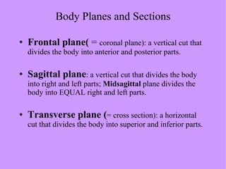 Body Planes and Sections Frontal plane(  =  coronal plane): a vertical cut that divides the body into anterior and posterior parts. Sagittal plane : a vertical cut that divides the body into right and left parts;  Midsagittal  plane divides the body into EQUAL right and left parts. Transverse plane ( = cross section): a horizontal cut that divides the body into superior and inferior parts. 