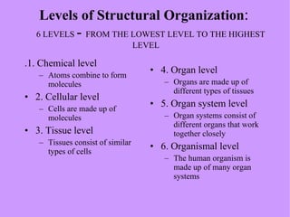 Levels of Structural Organization :    6 LEVELS  -  FROM THE LOWEST LEVEL TO THE HIGHEST LEVEL .1. Chemical level Atoms combine to form molecules 2. Cellular level Cells are made up of molecules 3. Tissue level Tissues consist of similar types of cells 4. Organ level Organs are made up of different types of tissues 5. Organ system level Organ systems consist of different organs that work together closely 6. Organismal level The human organism is made up of many organ systems 