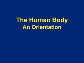The Human Body 
An Orientation 
 