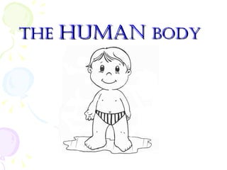 THE   HUMAN BODY
 