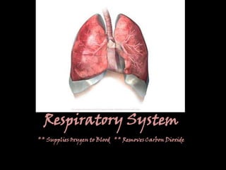 Cardiovascular SystemTransport System for Oxygen, Fluids, Hormones and Nutrients