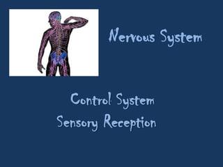Regulates Temperature and PressureSkeletal SystemProtects SupportsStores MineralsForms Blood Cells