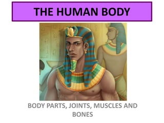THE HUMAN BODY
BODY PARTS, JOINTS, MUSCLES AND
BONES
 