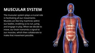 Comprehensive Overview of Human Body Systems and Their Functions | PPTX