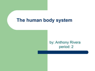 The human body system  by: Anthony Rivera  period: 2  