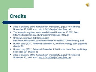 Credits  atlas-of-anatomy-of-the-human-heart_medical512.jpg (2010) Retrieved November 10, 2011 from:  http://d7c2b0wpljtwf.cloudfront.net The respiratory system,(unknown)Retrieved November 10,2011 from:  http://medicalcenter.osu.edu/greystone/images/es_0372.gif Unknown, unknown, kid Konnect.com  http://www.kidskonnect.com/subject-index/31-health/337-human-body.html Human body (2011) Retrieved December 4, 2011from: biology book page 892 chapter 35  Human body (2011) Retrieved December 4, 2011 from: home from my biology book page 891 chapter 35  atlas-of-anatomy-of-the-human-heart_medical512.jpg (2010) Retrieved November 10, 2011 from:  http://d7c2b0wpljtwf.cloudfront.net 