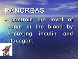PANCREAS
- controls    the level of
 sugar in    the blood by
 secreting     insulin and
 glucagon.
 