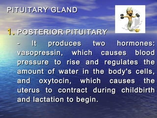 PITUITARY GLAND


1. POSTERIOR PITUITARY
  -   It  produces     two hormones:
  vasopressin, which causes blood
  pressure to rise and regulates the
  amount of water in the body's cells,
  and oxytocin, which causes the
  uterus to contract during childbirth
  and lactation to begin.
 