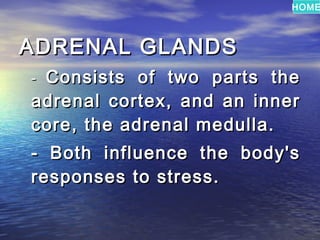 HOME



ADRENAL GLANDS
-Consists of two parts the
adrenal cortex, and an inner
core, the adrenal medulla.
- Both influence the body's
responses to stress.
 