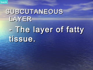 back



   SUBCUTANEOUS
    LAYER
       - The layer of fatty
       tissue.
 