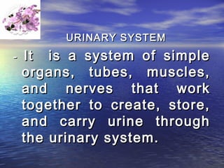 URINARY SYSTEM
-   It is a system of simple
    organs, tubes, muscles,
    and nerves that work
    together to create, store,
    and carry urine through
    the urinary system.
 