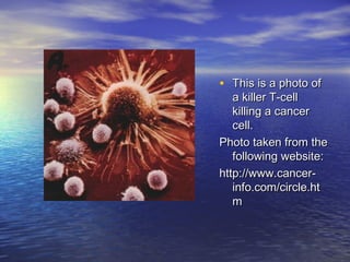 • This is a photo of
   a killer T-cell
   killing a cancer
   cell.
Photo taken from the
   following website:
http://www.cancer-
   info.com/circle.ht
   m
 
 