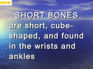 back


     SHORT BONES
   are short, cube-
   shaped, and found
   in the wrists and
   ankles
 