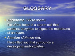 GLOSSARY

• Acrosome (AK-ro-sohm):
  Tip of the head of a sperm cell that
  contains enzymes to digest the membrane
  of an ovum.
• Amnion (AM-nee-on):
  Fluid-filled sac that surrounds a
  developing embryo/fetus.
 