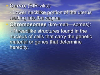 • Cervix (SIR-viks):
    - Lower necklike portion of the uterus
    leading into the vagina.
•   Chromosomes (kro-meh—somes):
    - Threadlike structures found in the
    nucleus of cells that carry the genetic
    material or genes that determine
    heredity.
 