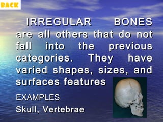 back

     IRREGULAR        BONES
   are all others that do not
   fall into the previous
   categories.   They    have
   varied shapes, sizes, and
   surfaces features
   EXAMPLES
   Skull, Vertebrae
 