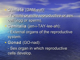 • Gamete (GAM-eat):
    - Female or male reproductive or sex
    cell (egg or sperm).
•   Genitalia (jen-i-TAY-lee-ah):
    - External organs of the reproductive
    system.
•   Gonad (GO-nad):
    - Sex organ in which reproductive
    cells develop.
 